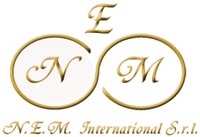 logo della N.E.M. International S.r.l.